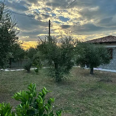 Garden House * Bellizzi